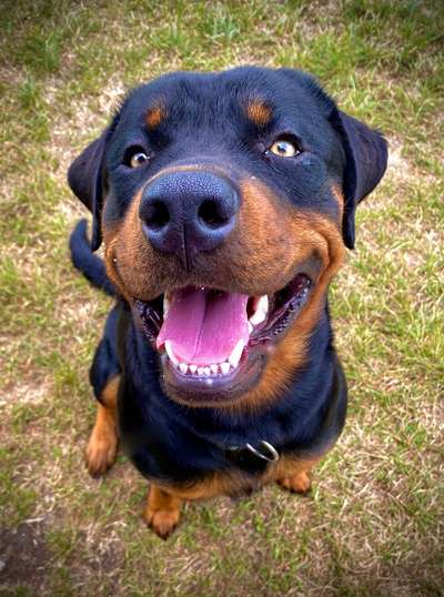 Ach, wie schnell die Zeit vergeht-Beitrag-Bild