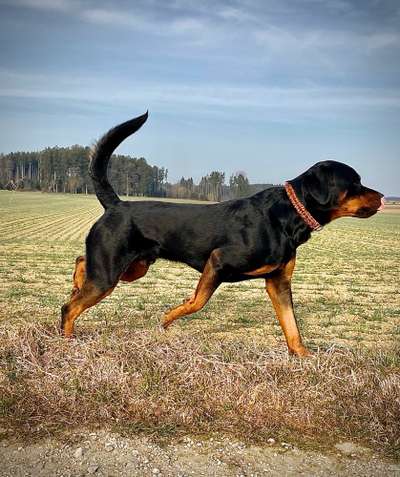 Warum muss es denn unbedingt der sein?-Beitrag-Bild