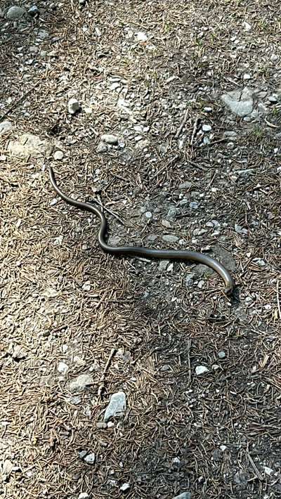 Die besten Gassifunde-Beitrag-Bild