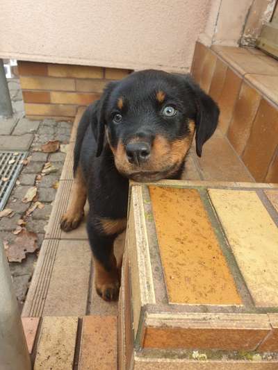 Ach, wie schnell die Zeit vergeht-Beitrag-Bild