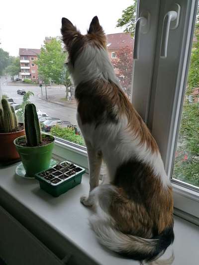 Lieblingsbild-Beitrag-Bild