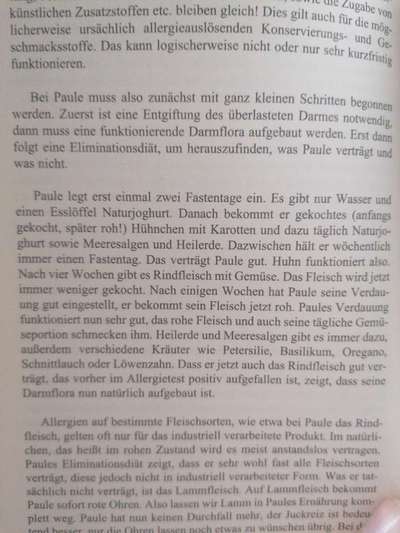 Dauerhaft Durchfall-Beitrag-Bild