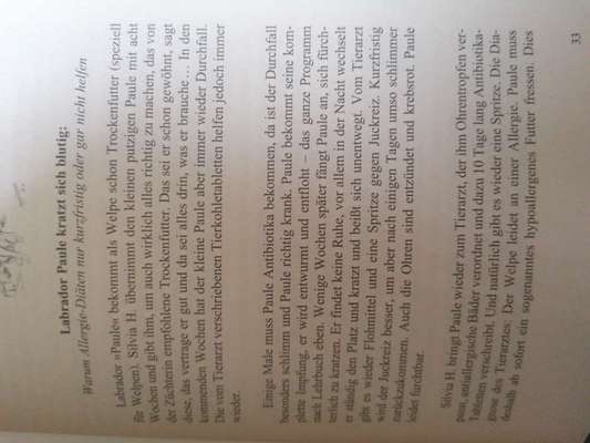 Dauerhaft Durchfall-Beitrag-Bild