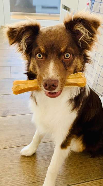 Lieblingsbild-Beitrag-Bild