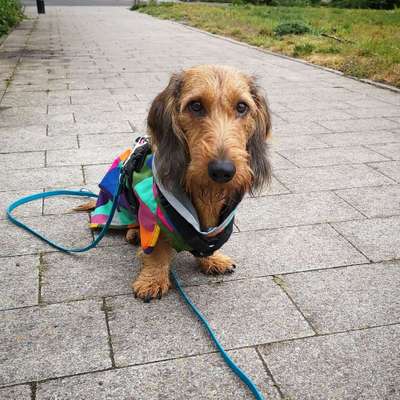 Pullis, Jacken, Hütte und alles sonstiges-Beitrag-Bild