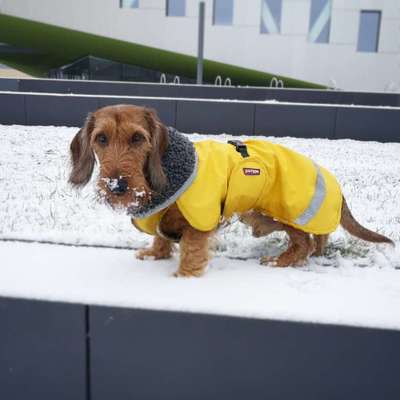 Pullis, Jacken, Hütte und alles sonstiges-Beitrag-Bild