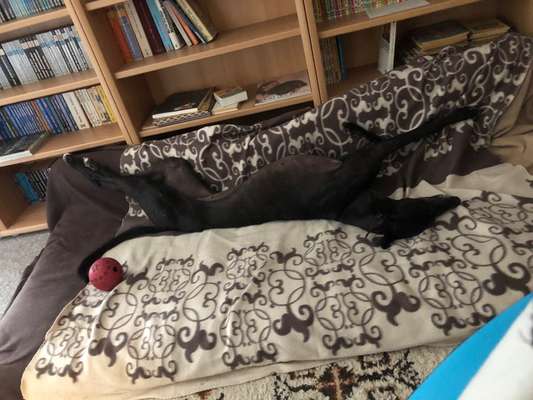 FOTO-Challenge  NR. 91: Die pure Entspannung-Beitrag-Bild