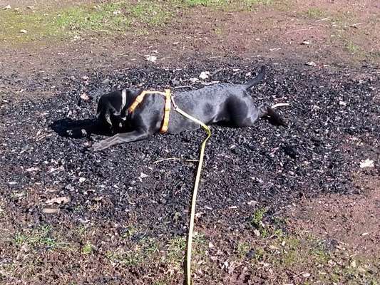 Ton in Ton-Beitrag-Bild