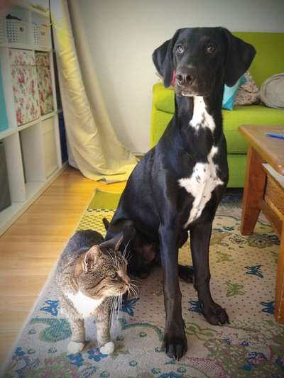 Wie groß waren eure welpen ?-Beitrag-Bild