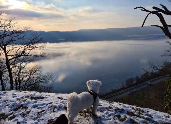 Fotowettbewerb Natur-Beitrag-Bild