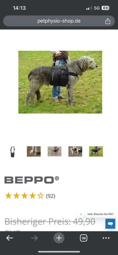 Hund nach Hüft-OP die Treppe hoch tragen-Beitrag-Bild