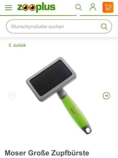 Samojede-Beitrag-Bild