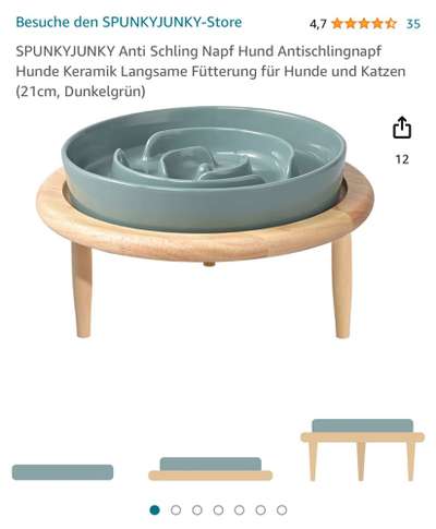 Samojede-Beitrag-Bild