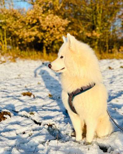 Nordische in der gegend-Beitrag-Bild