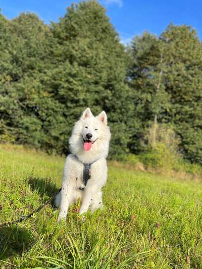 Zeigt eure Portraits-Beitrag-Bild