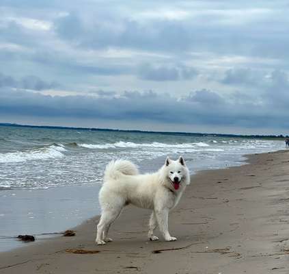 Gewicht-Beitrag-Bild