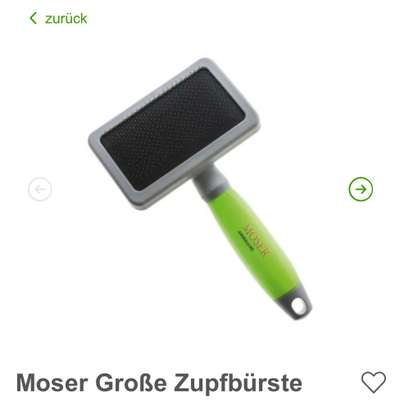 Samojede-Beitrag-Bild