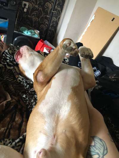 Die unbequemsten und lustigsten Schlafpositionen-Beitrag-Bild