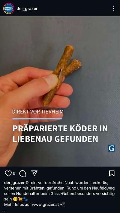 Giftköder-Präparierter Köder vor Tierheim-Bild