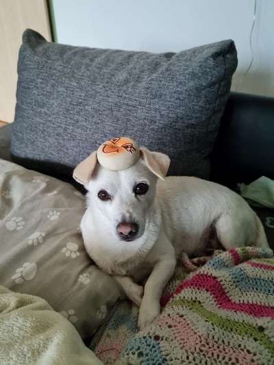 Gemeinsames Kuscheln im Bett!-Beitrag-Bild