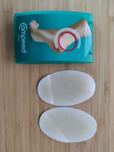 Liebhaber des Deutschen Pinscher gesucht.-Beitrag-Bild