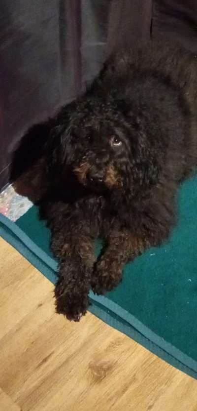 Unsere Sternchen ******-Beitrag-Bild