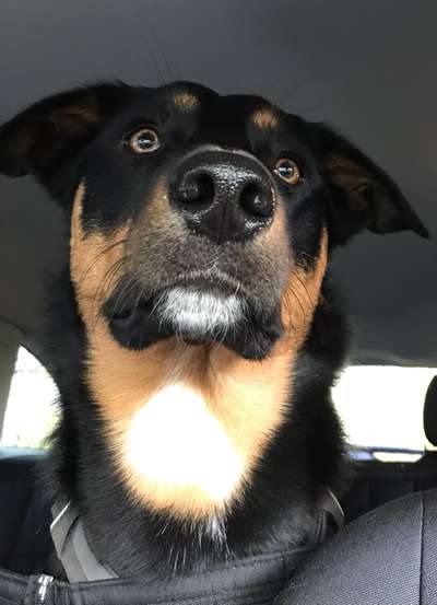 Fotochallange Nr. 57     PORTRÄT.   Beendet!!!!!!!!-Beitrag-Bild