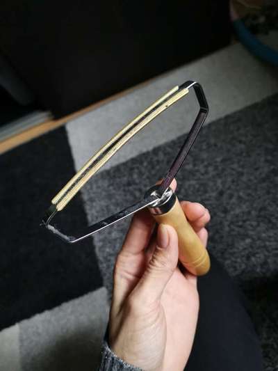 Entfernung Hundehaare in der Wohnung-Beitrag-Bild