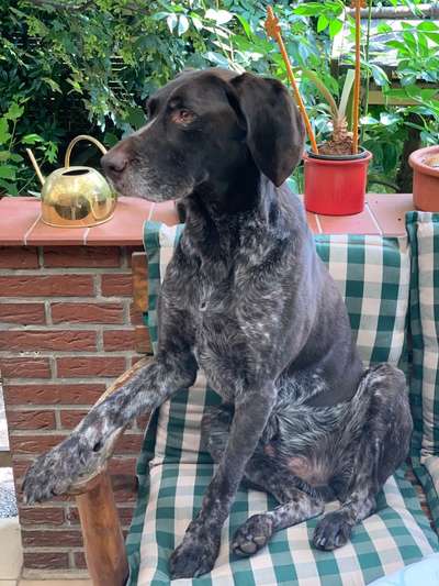 Foto-Challange No.1 - Alles aber nicht die Kamera-Beitrag-Bild