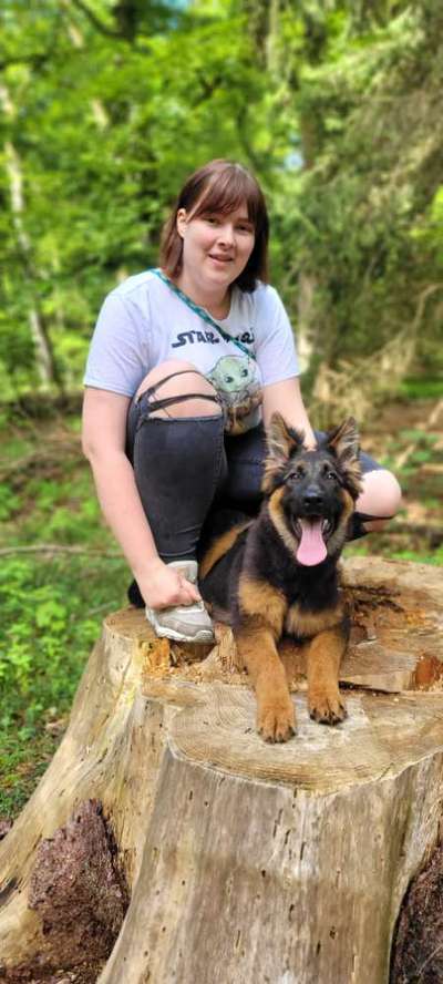 Hundetreffen-Maja braucht mehr hunde Kontakt-Bild