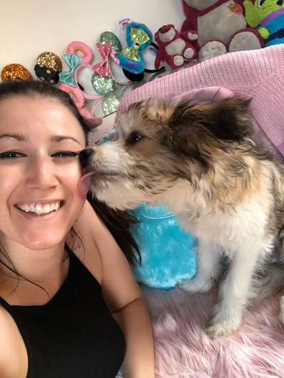 Küsschenbilder-Beitrag-Bild