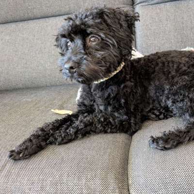 Corinna's Profilbild