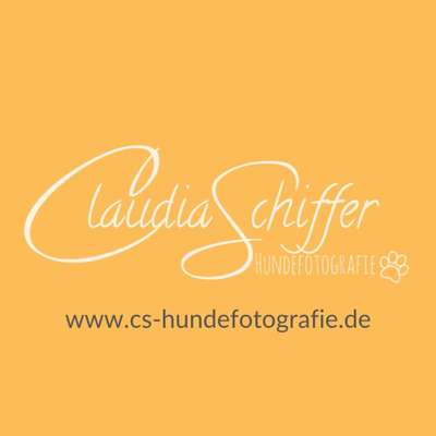 Tierfotografen-CS Hundefotografie-Bild