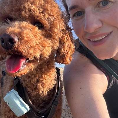 Hundetreffen-Wandern mit Hunden in Willingen-Bild
