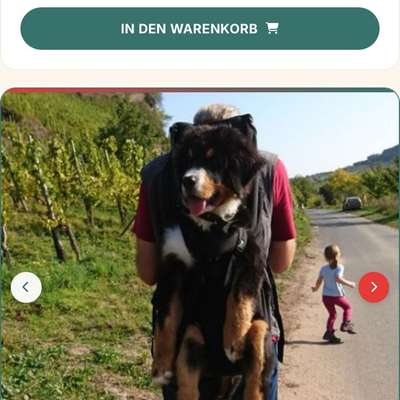 Wandern mit einem Senior-Beitrag-Bild