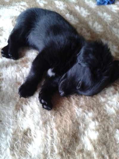 Unser Nachwuchs-Beitrag-Bild