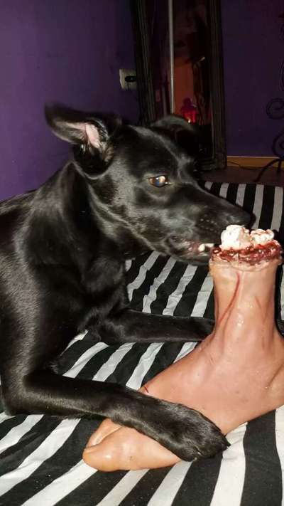 Fotochallange Nr.53 "HALLOWEEN"-Beitrag-Bild