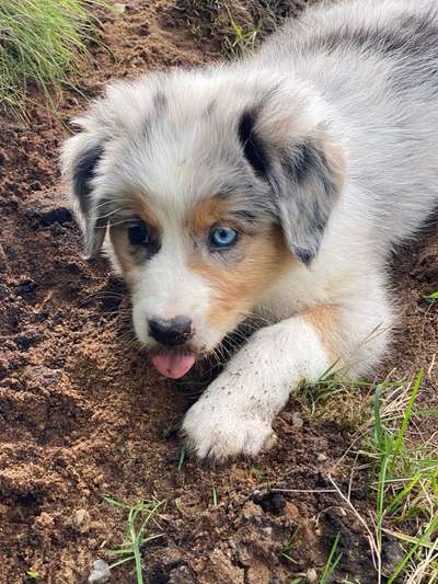 Erstes Bild-Beitrag-Bild