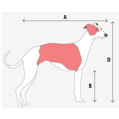 Hundebox für das Auto-Beitrag-Bild
