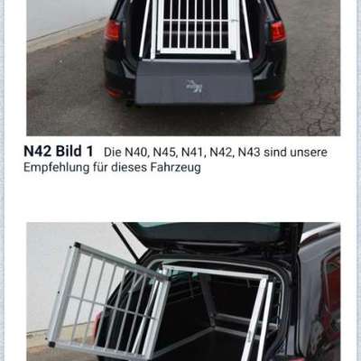 Hundebox für das Auto-Beitrag-Bild