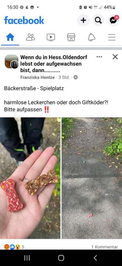 Giftköder-Möglicher Giftköder-Bild