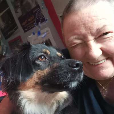 Hundetreffen-Spiel- und Gassirunden