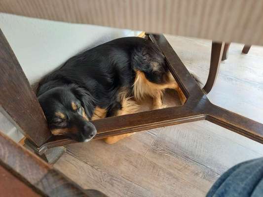 Handy-Foto Challange Nr. 10-Beitrag-Bild