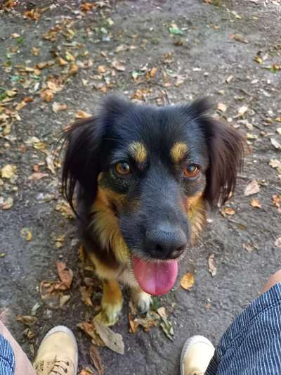 Handy-Foto Challange Nr. 10-Beitrag-Bild