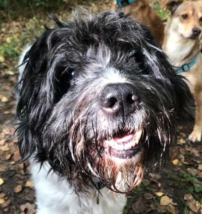 Fotochallenge Nr. 56 - geliebte Senioren-Beitrag-Bild