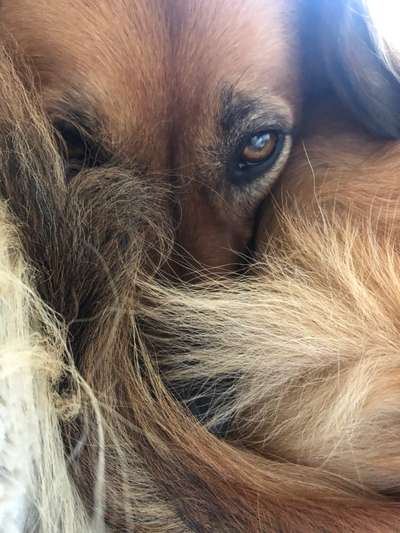 Fotochallenge Nr. 62 Romantische Momente-Beitrag-Bild