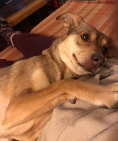 Fotochallenge Nr. 62 Romantische Momente-Beitrag-Bild