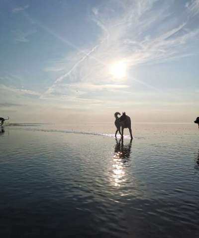 SonnenSTRAHLEN-Beitrag-Bild