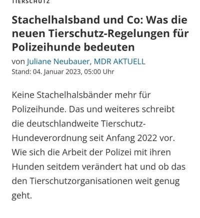 Universal Allzweck Sündenbock Schäferhund-Beitrag-Bild