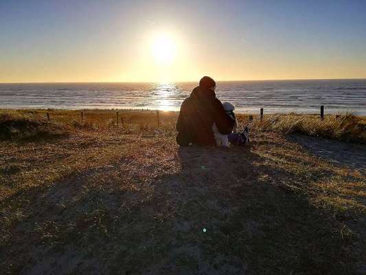 Dogorama Photo Challenge - Tierischer Urlaub-Beitrag-Bild